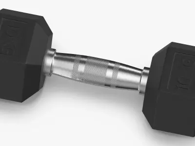 Rubber Dumbbell 10kg 3D model