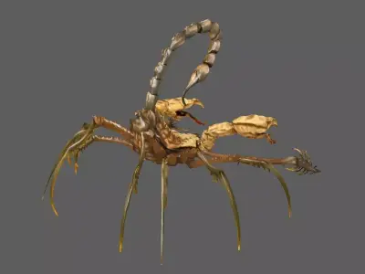Scorpion 3D model get