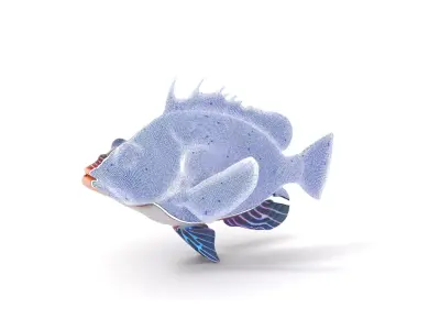 Vibrant Fish model pack Low-poly 3D model