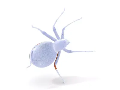 Brown Spider model pack Low-poly 3D model