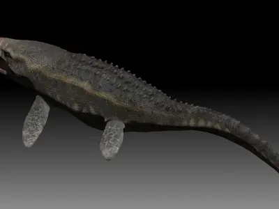 Mosasaurus fish with long teeth Free 3D model