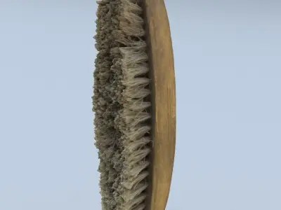 Brush High Poly wooden 3D model