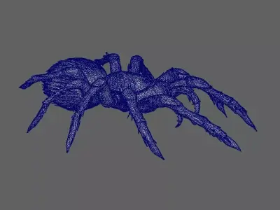 Spider 3D model 17