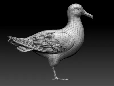 Seagull 3D model purchase