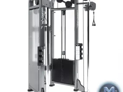 Life Fitness Signature Series Dual Adjustable Pulley 3D model