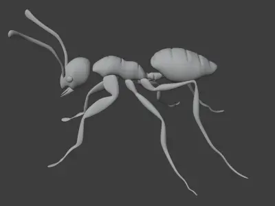 Ant Red 3D model