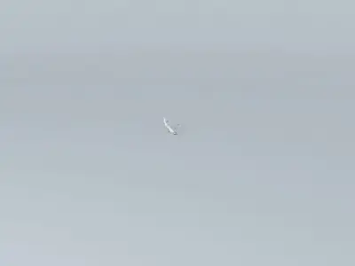 Airica Airlines Flight 623 Free 3D model