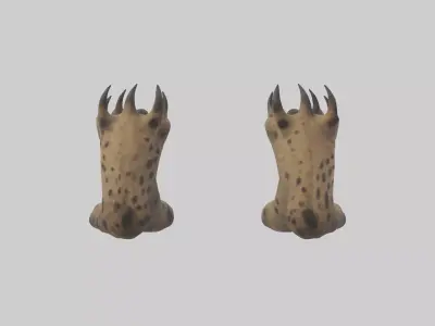 Hyena Paws Model Low-poly 3D model