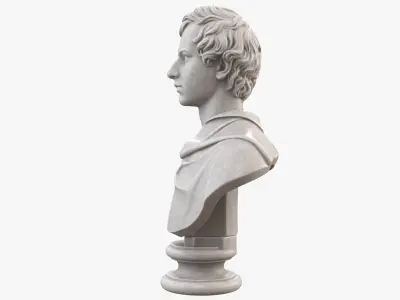 Young Man Frederick Bust 