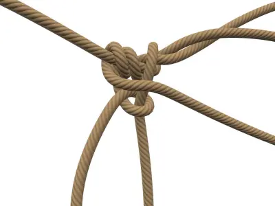 Rope Knot 3D model