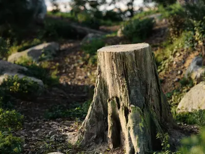  Short Cut Mossy Forest Stump Model 