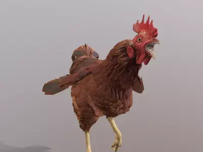 Angry Rooster CHICKEN RUNNING 3D model