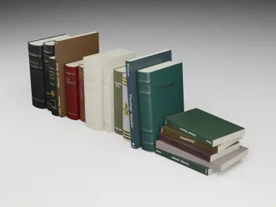 Antique Books PBR 3D model