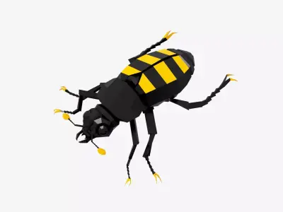 Bug low poly beetle 3D model