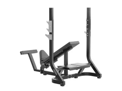 Technogym Olympic Inclined Bench Pure 3D model