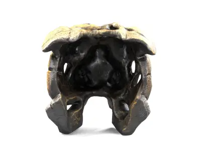 Bulldog  Bust Edge Decor Bust Low-poly 3D model