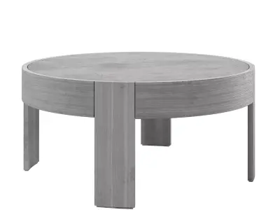 Portside Outdoor Concrete Round Coffee Table - West Elm 3D model