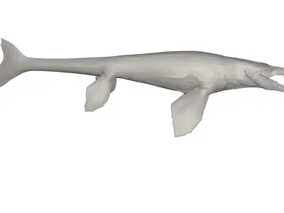 Dinosaur whale 3D model