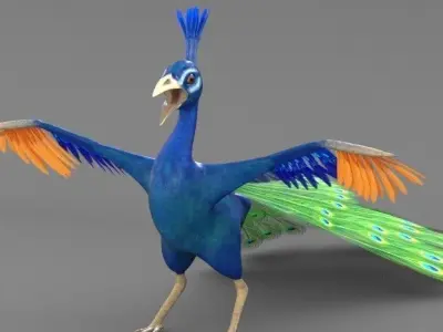 Peacock 3D model purchase