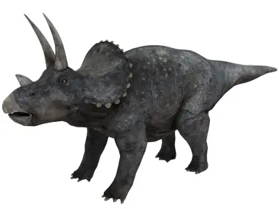 triceratops dinosaur Low-poly 3D model 3