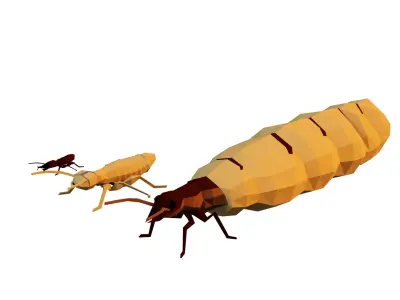 Termits two insects Low-poly 3D model