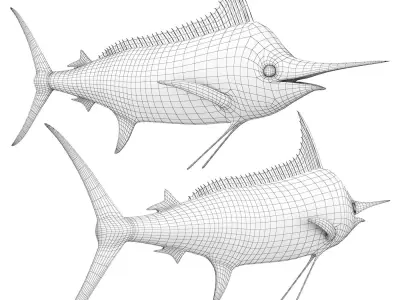 Marlin fish 3D model
