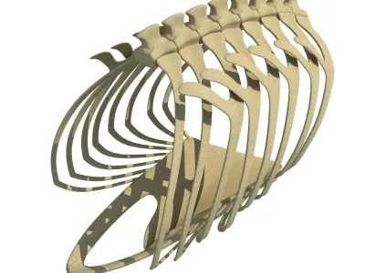 Penguin Rib Cage 3D model