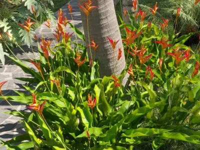 Collection 27 - Tropical garden 3D model
