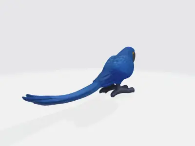 Macaw parrot 3d model Low-poly 3D model