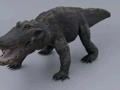 Alligator Low-poly 3D model