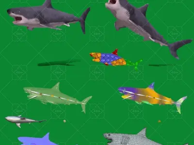 Great White Shark Low-poly 3D model 12