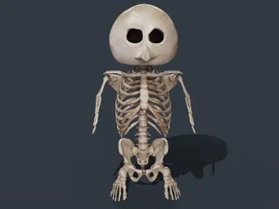 Penguin Skull Low-poly 3D model purchase