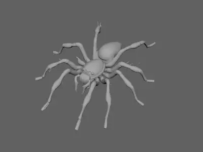 Spider 3D model 18