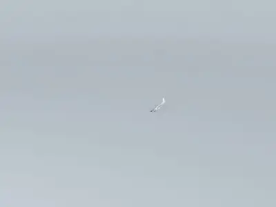 Airica Airlines Flight 623 Free 3D model