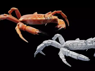 Animated Crab Low-poly 3D model