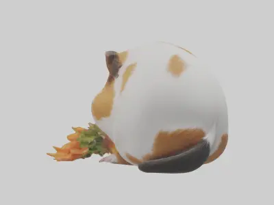 Guinea Pig nibbling model Low-poly 3D model