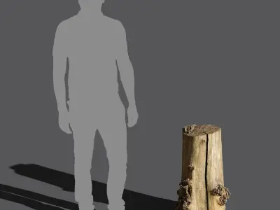  Medium Cut Bare Split Burly Stump Model 