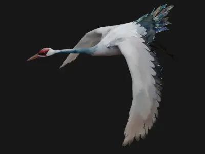 Pack-03-Bird Family 3D model