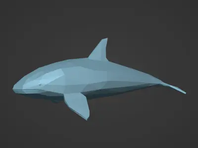 LowPoly killer whale  Low-poly 3D model