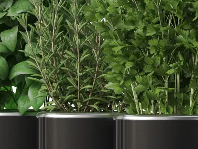  Plants collection 261 