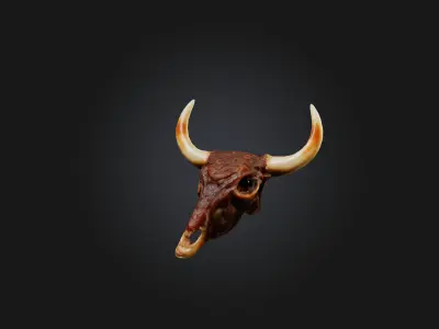 Oxtail Model Low-poly 3D model