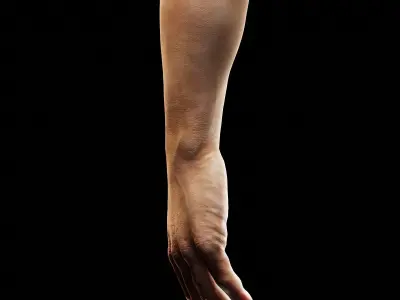 Human Hand with Beret collection  Low-poly 3D model