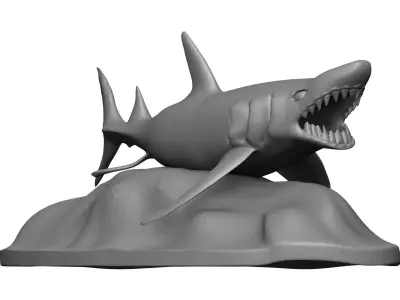 Shark 3D model 14