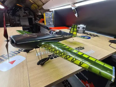 3D Printed RC Airplane 3D print model