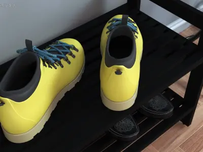 Hiking Boots 3D model