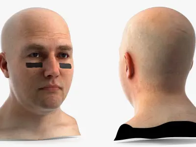 Football Fan Head 3D model