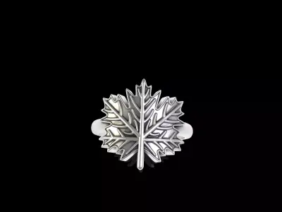 Leaves Ring 3D print model