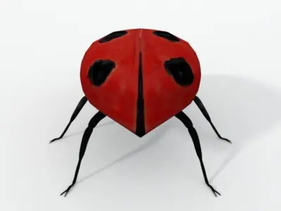 Ladybug Low-poly 3D model buy