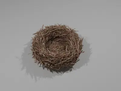 Realistic Bird nest 3D model
