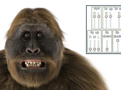 Gigantopithecus Fur Rigged 3D model